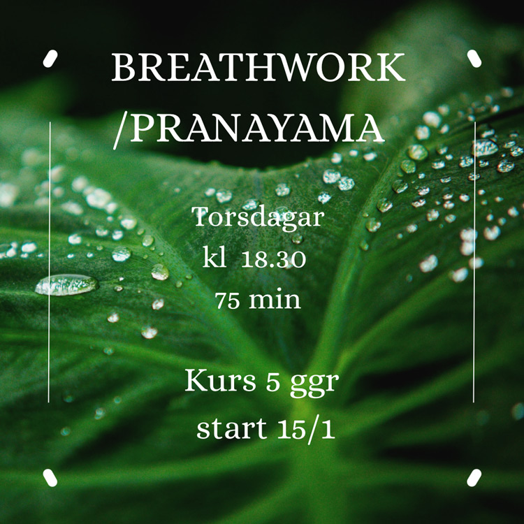 Breathwork kurs
